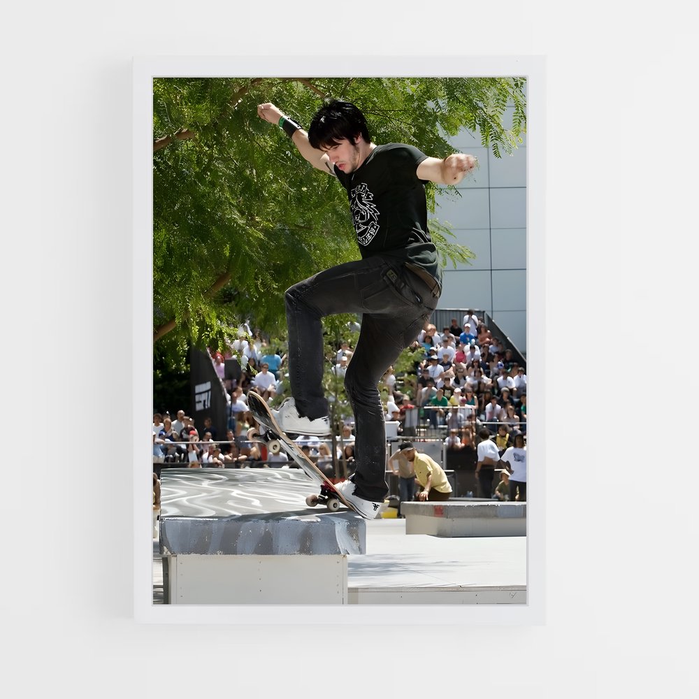 Poster Trickster au Skatepark – affiche Skateboard (vue 3)